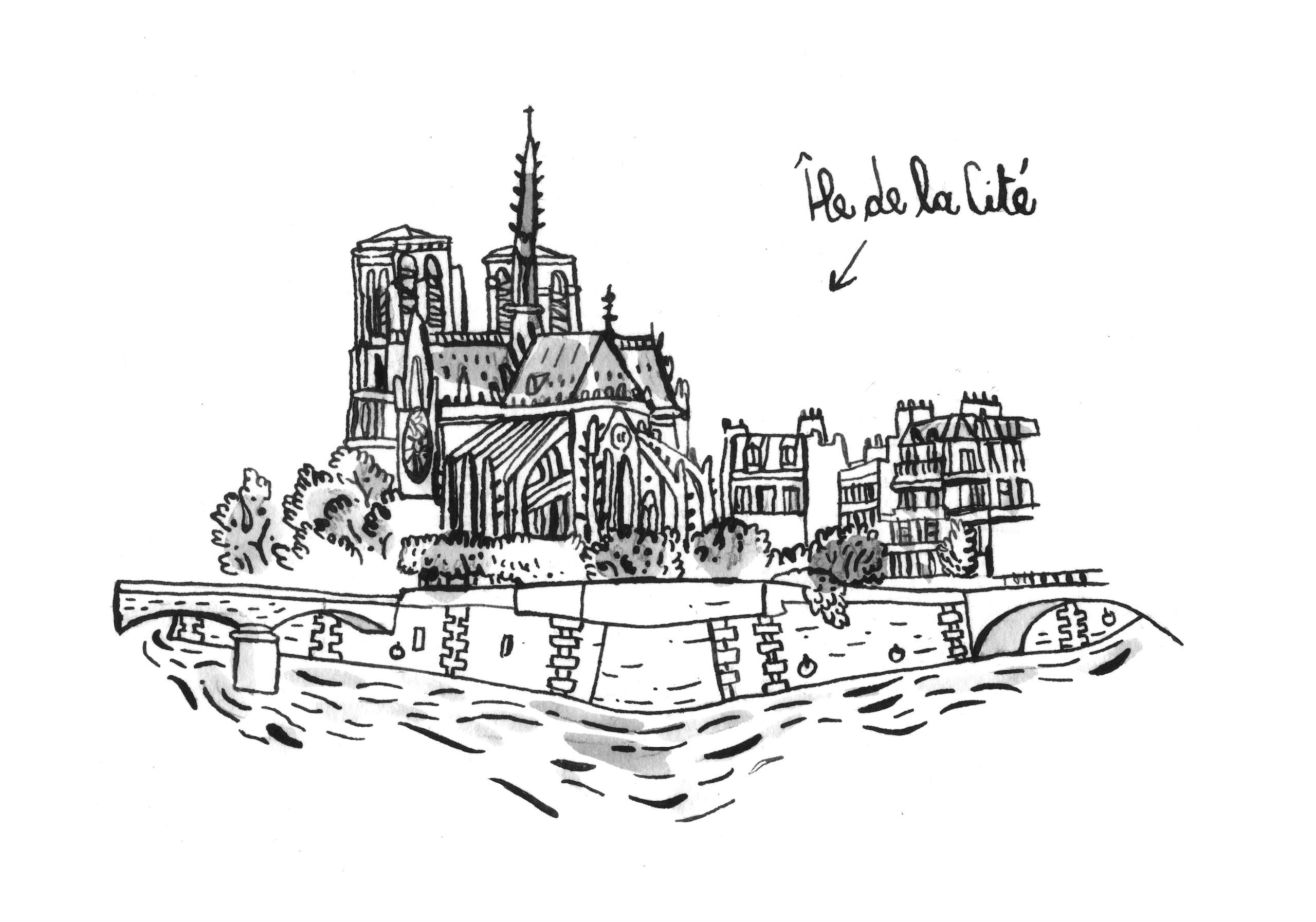 Dessin Île de la Cité Guillaume Reynard