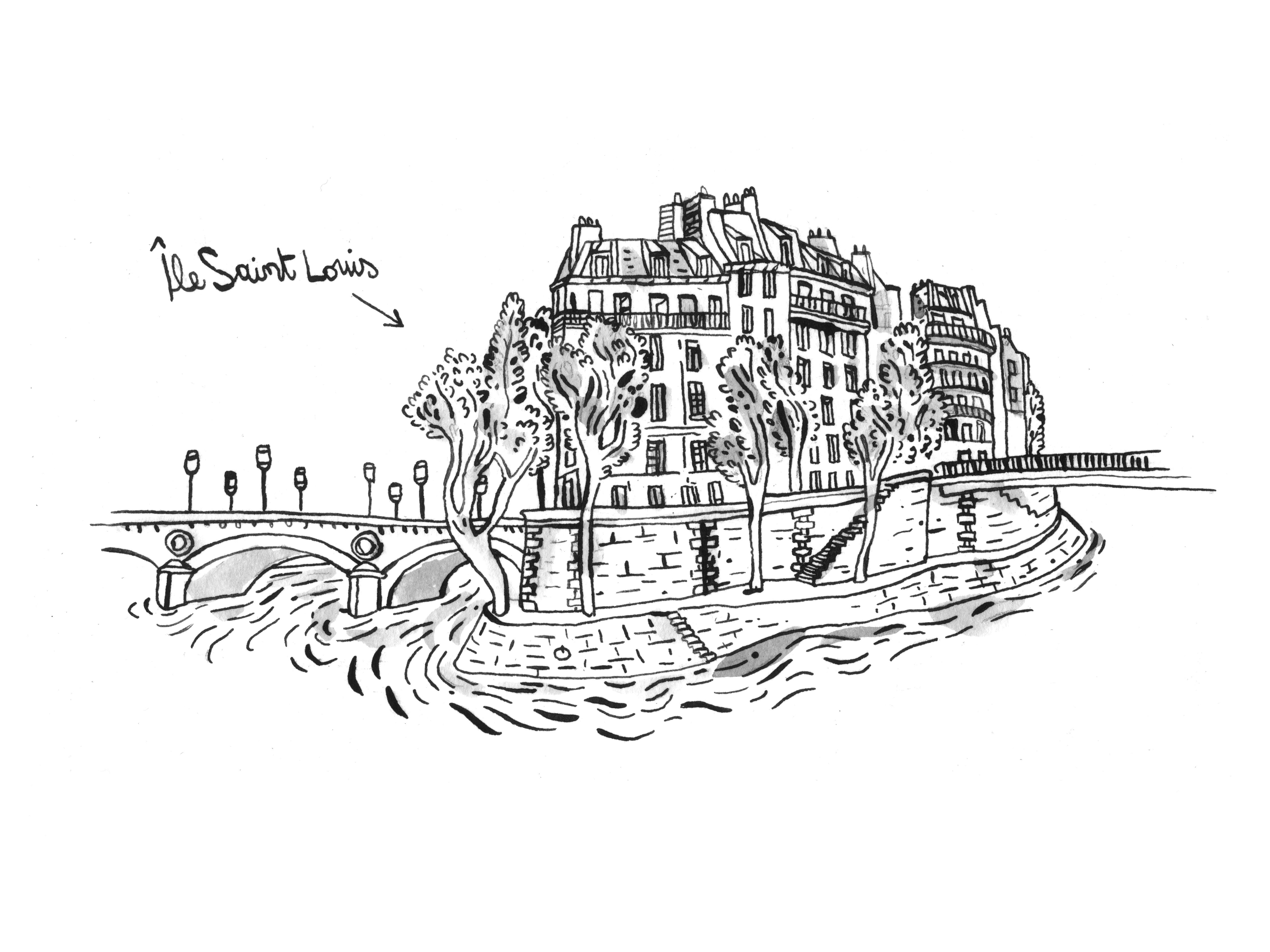 Dessin Île Saint Louis Guillaume Reynard Varenne