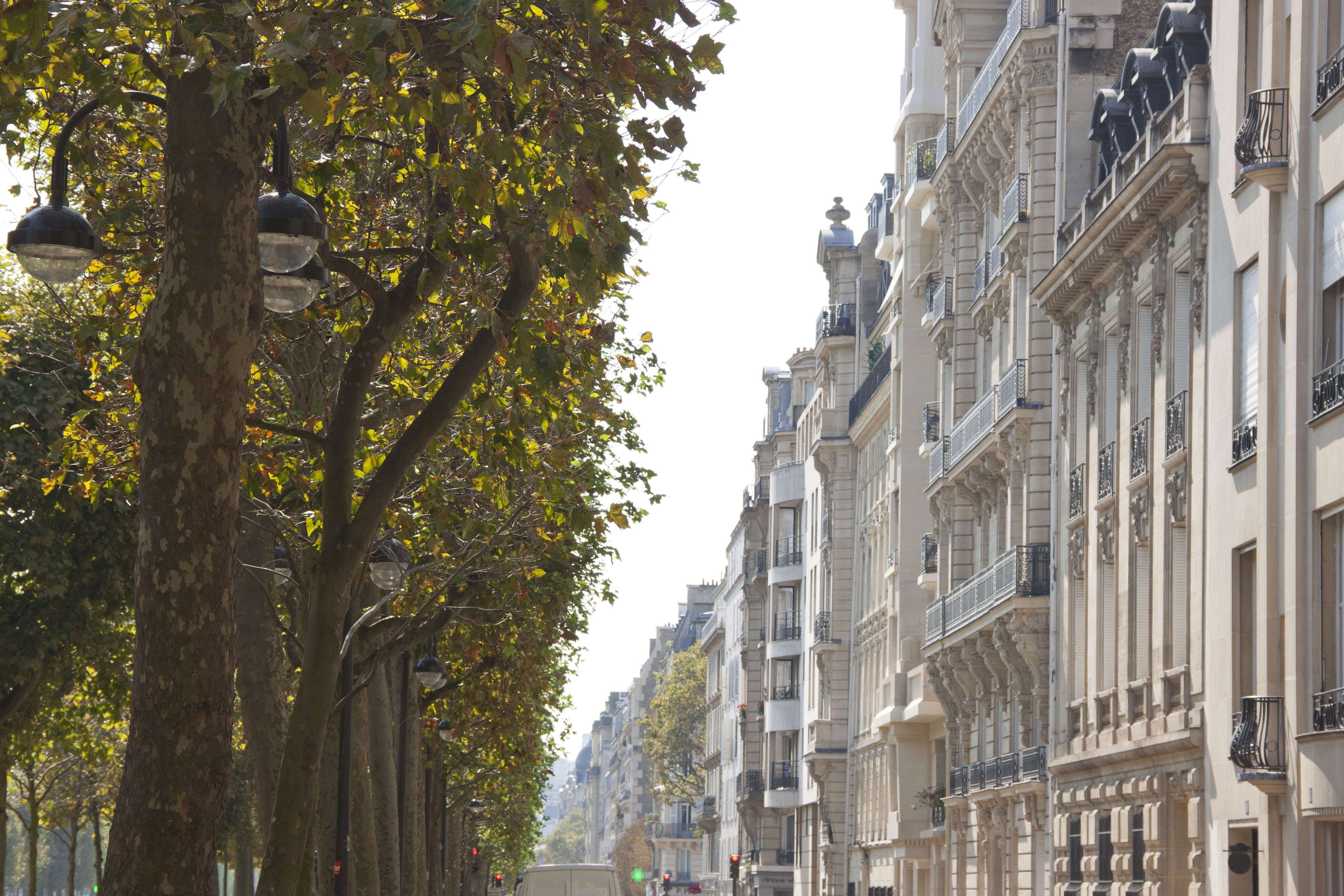 Photo avenue quartier breteuil paris