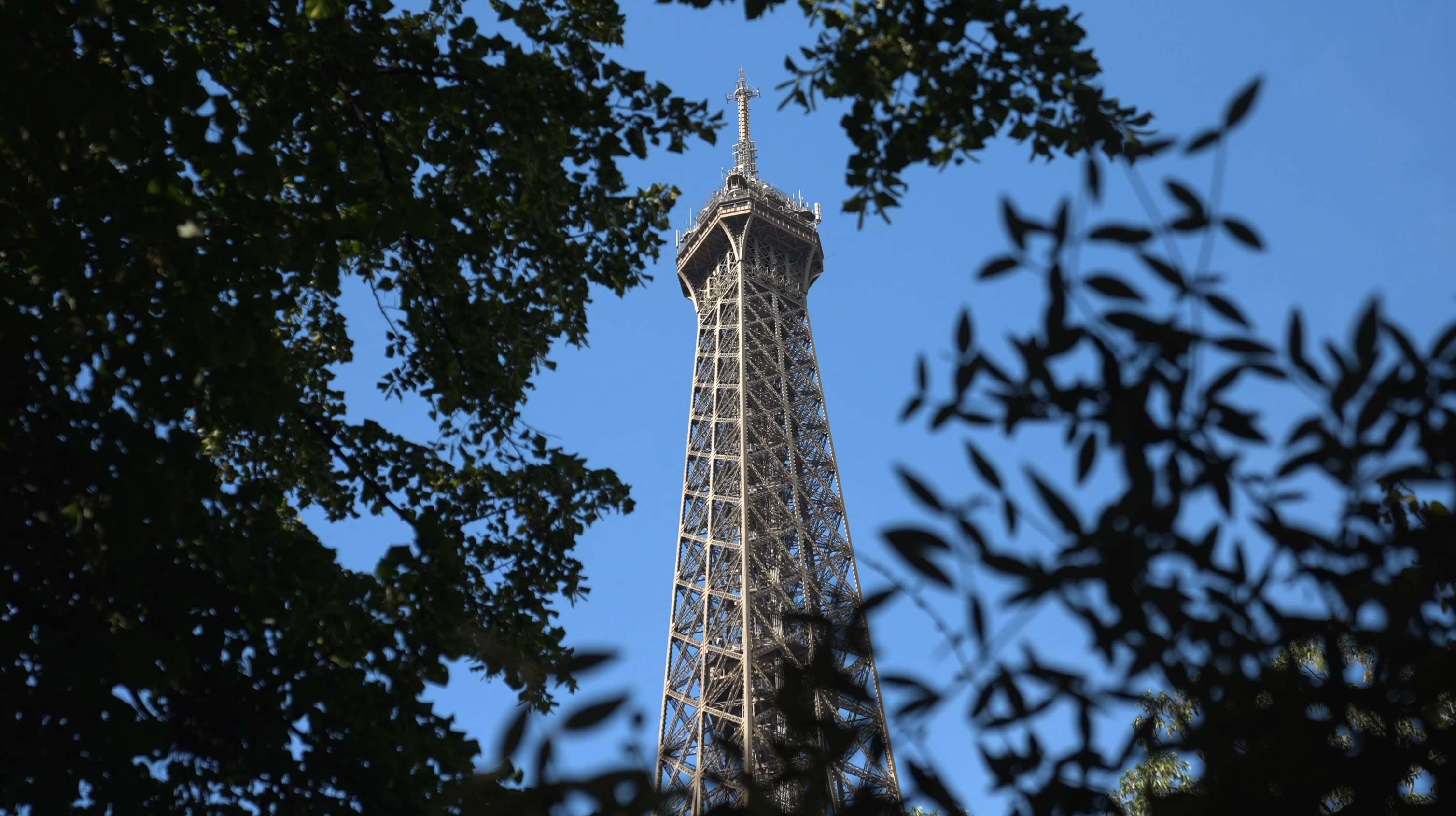 Haut de la tour eiffel à paris à travers la cime des arbres