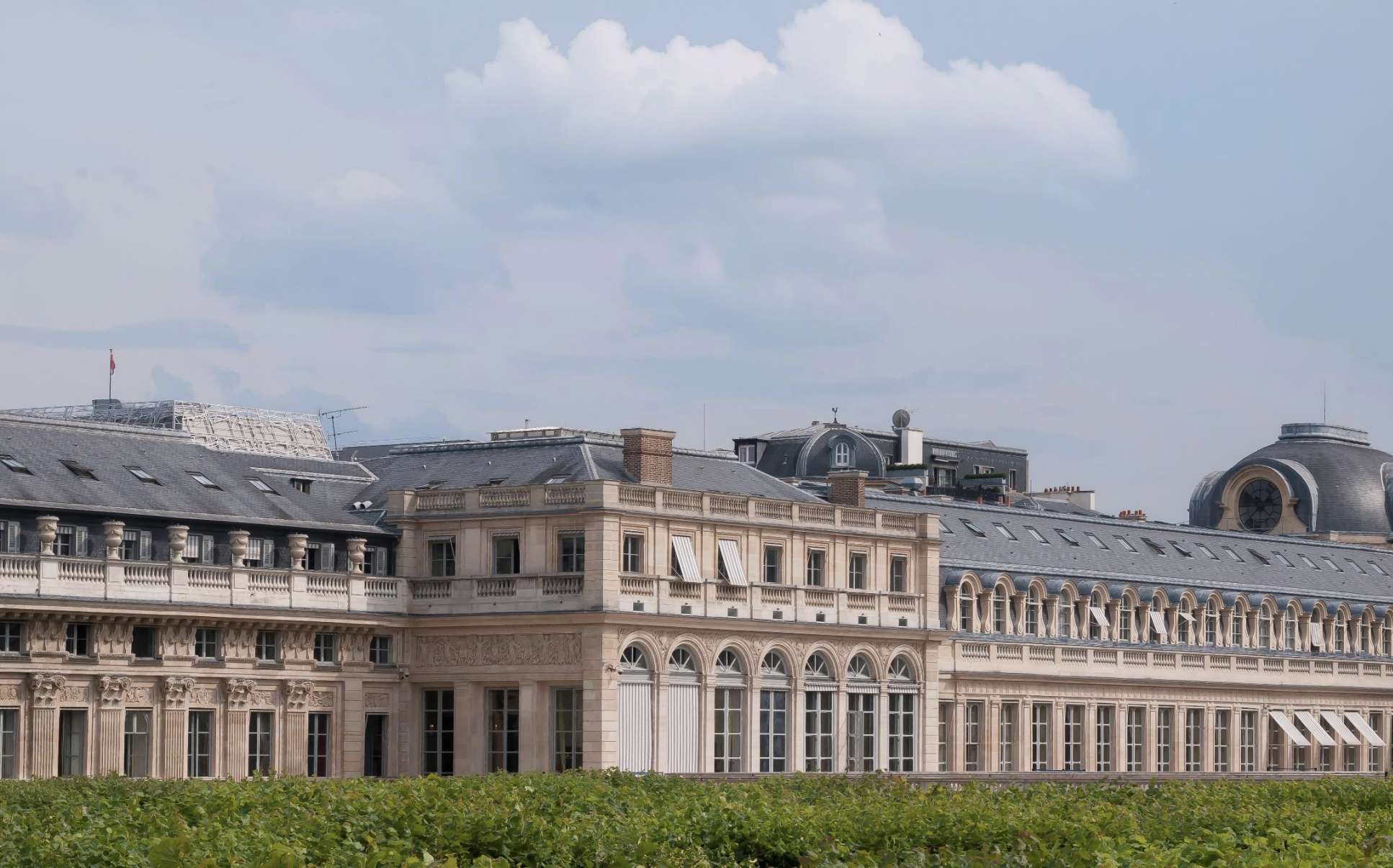 Vue de la cime des arbres palais royal paris 