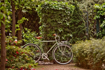 Vélo de couleur sauge dans jardin avec végétaux 