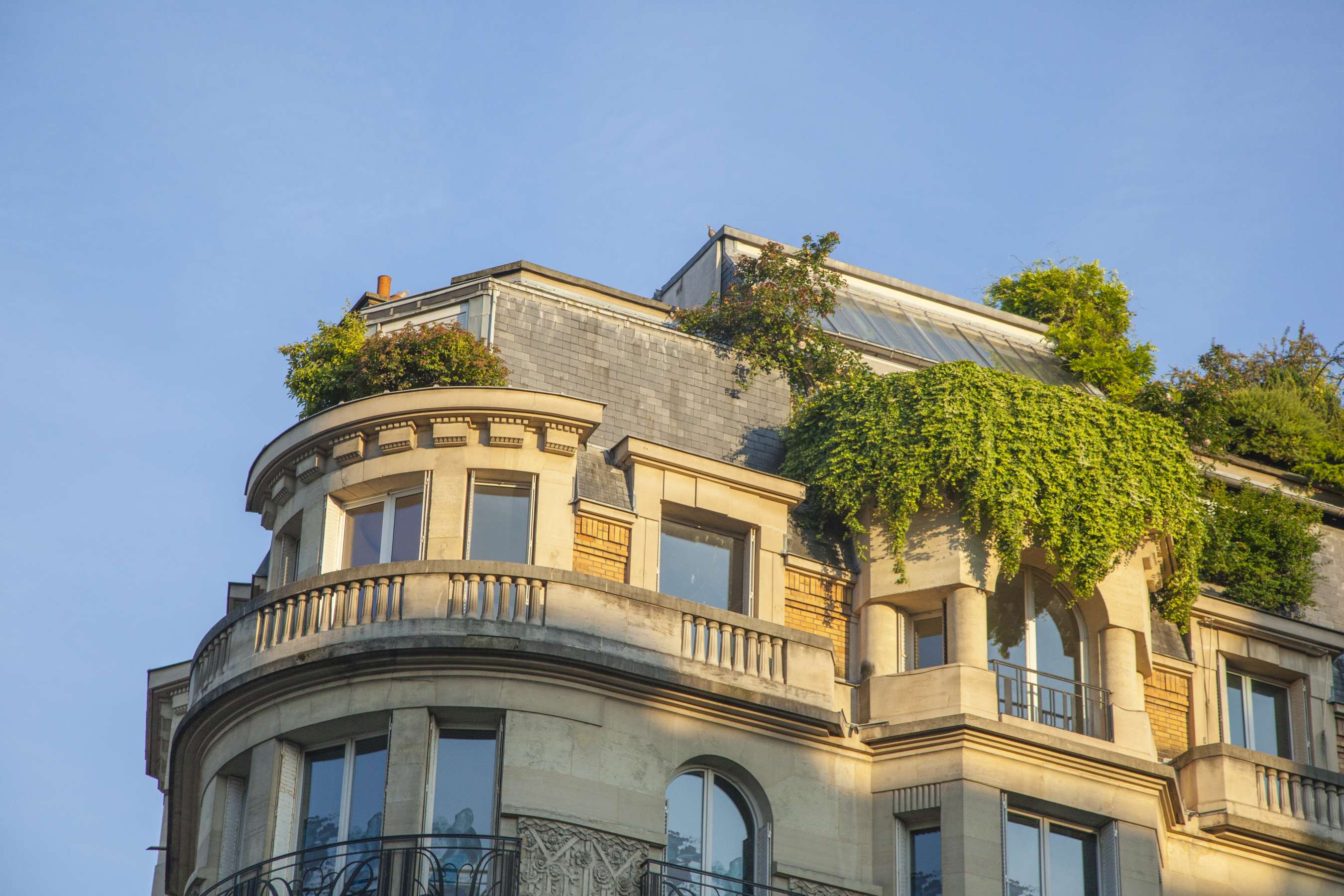 Immeuble haussmannien en face du bon marché à paris avec balcons végétalisé