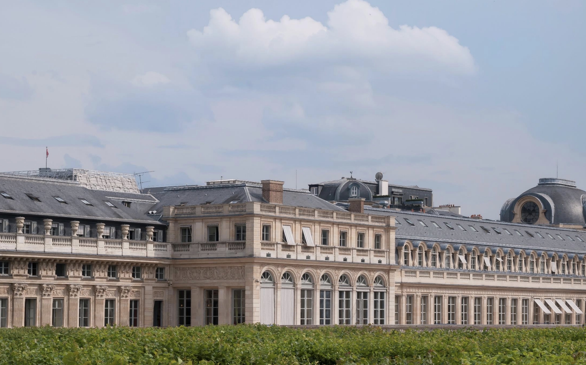 Vue de la cime des arbres palais royal paris 
